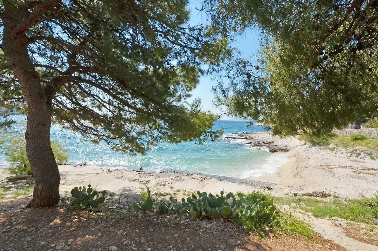 Apartment House Juretic - 50 M From The Beach Trogir
